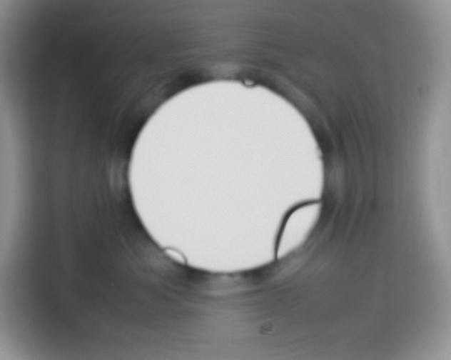 X0000113030525200910081222