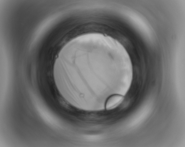 X0000113030526200910081222