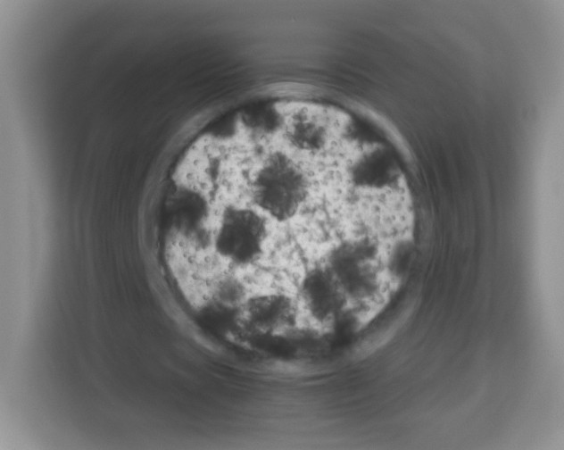 X0000113030529200910081222