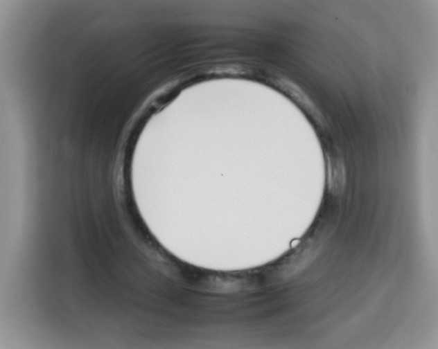 X0000113030531200910081222