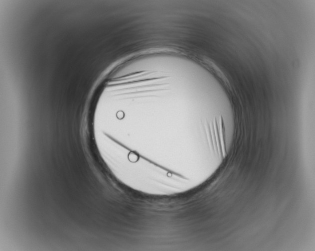 X0000113030532200910081222