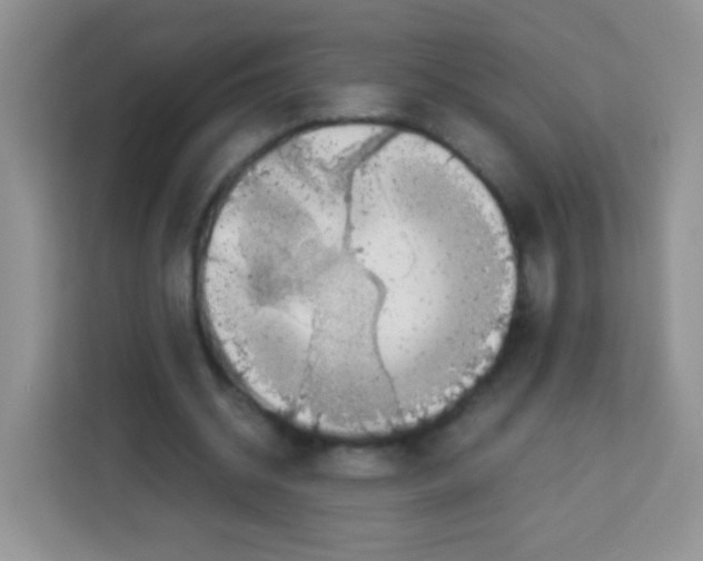 X0000113030534200910081222