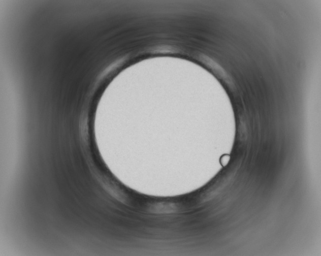 X0000113030535200910081222