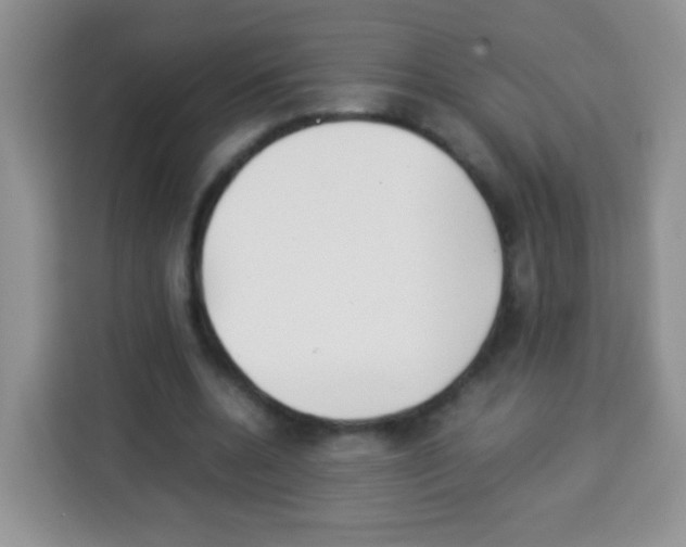 X0000113030536200910081222