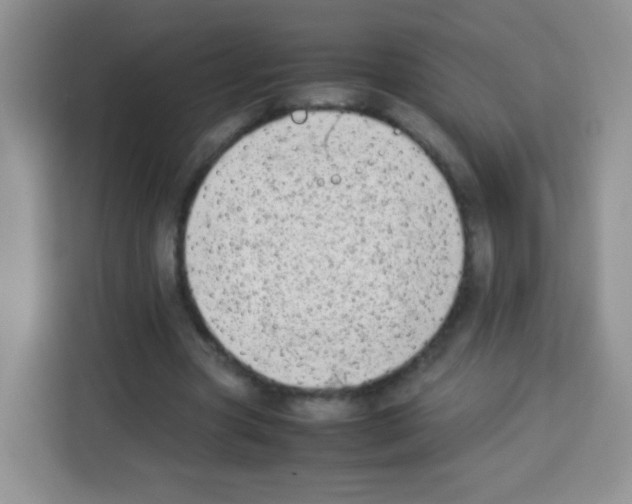 X0000113030537200910081222