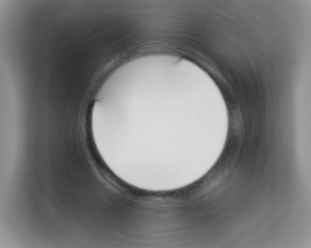 X0000113030538200910081222