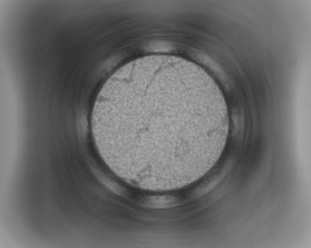 X0000113030541200910081222