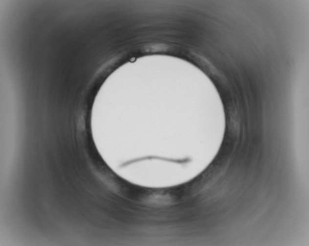 X0000113030543200910081222