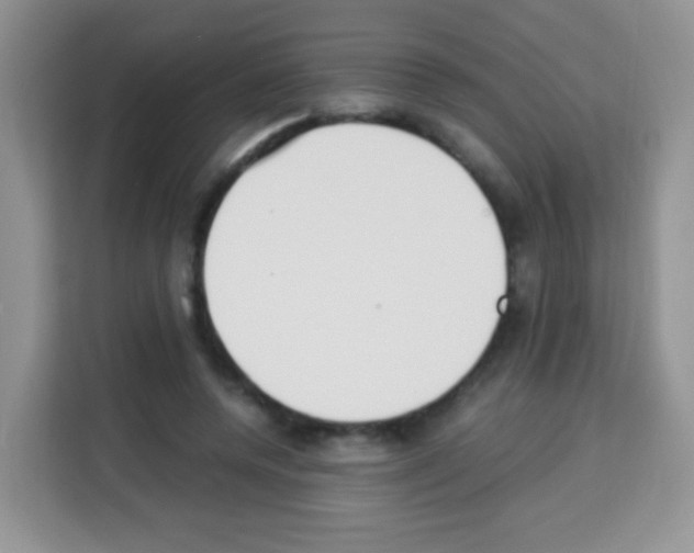 X0000113030544200910081222