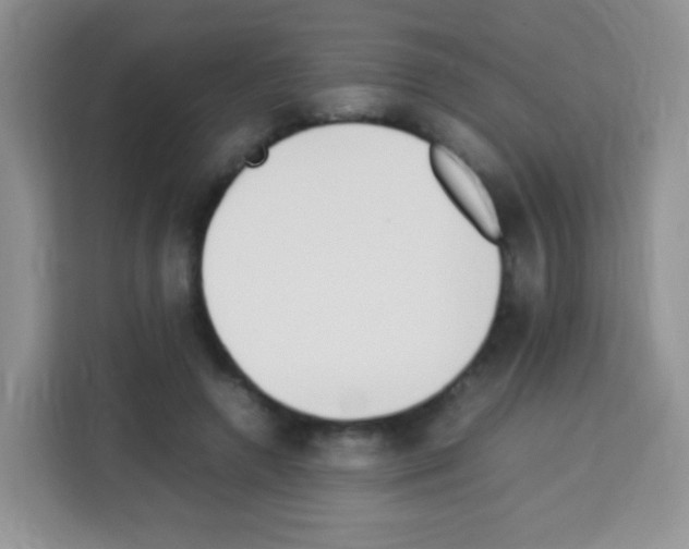 X0000113030546200910081222