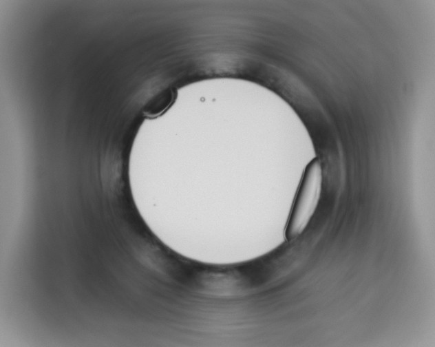 X0000113030548200910081222