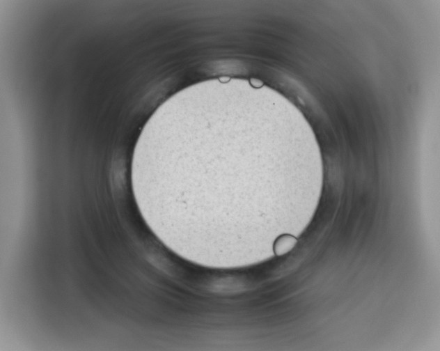 X0000113030549200910081222