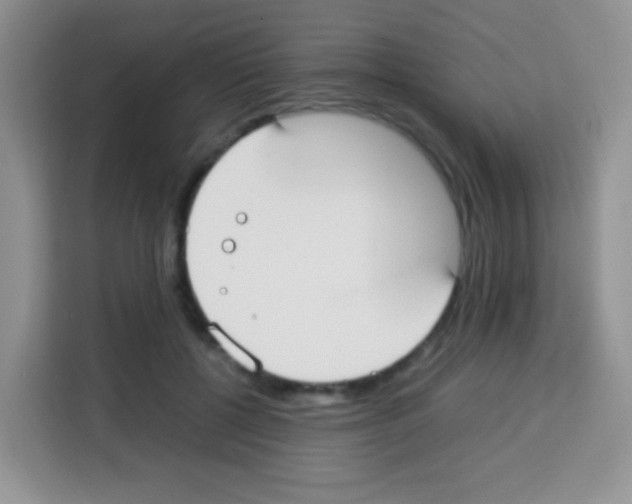 X0000113030552200910081222