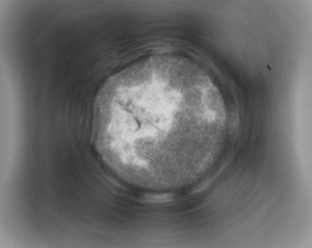 X0000113030553200910081222