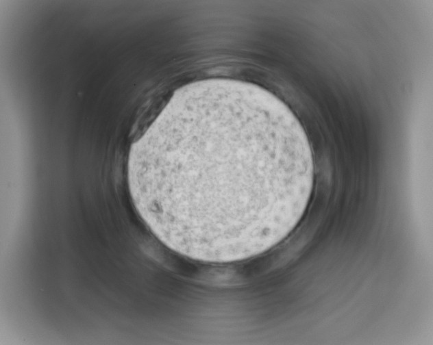 X0000113030554200910081222
