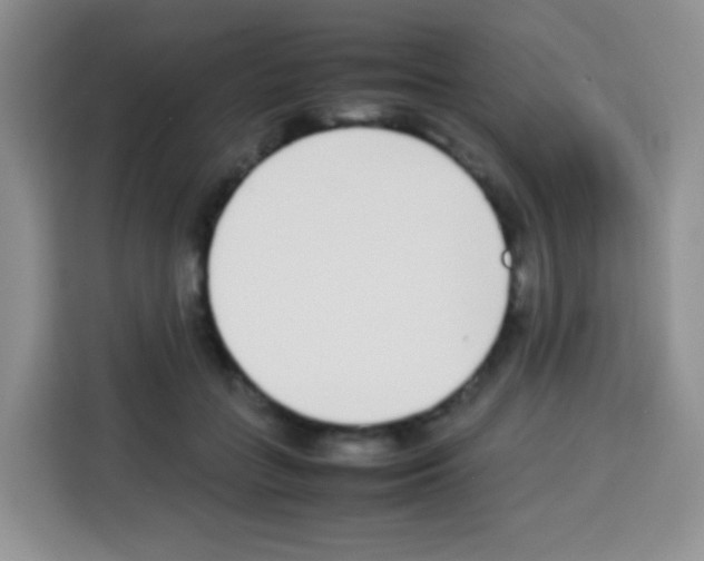 X0000113030555200910081222