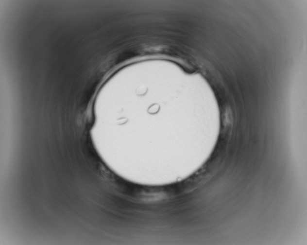 X0000113030559200910081222