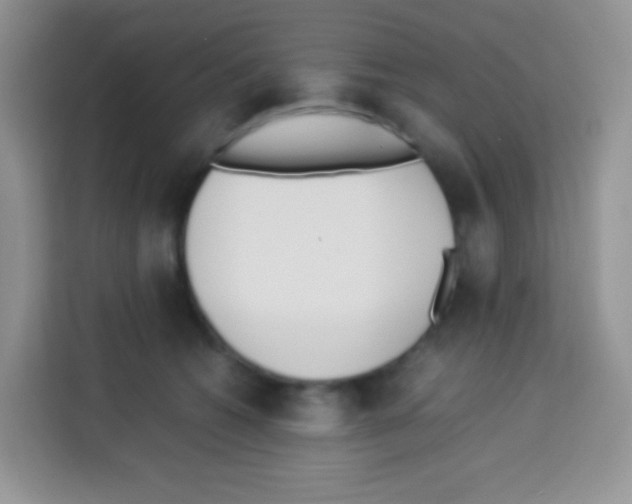 X0000113030562200910081222