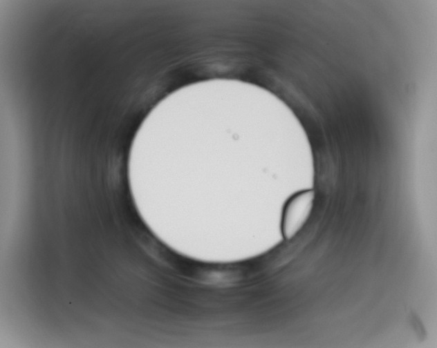 X0000113030563200910081222