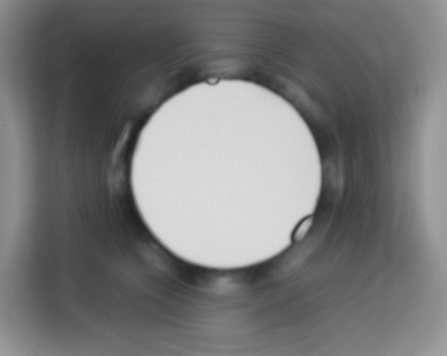 X0000113030564200910081222