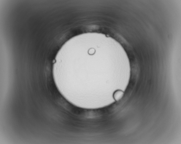 X0000113030565200910081222