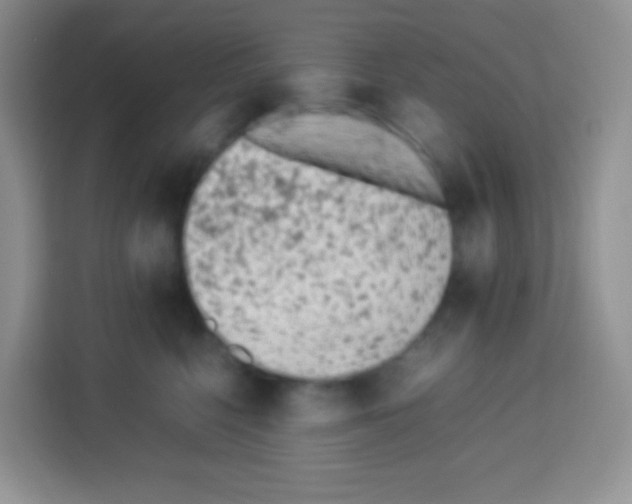 X0000113030568200910081222