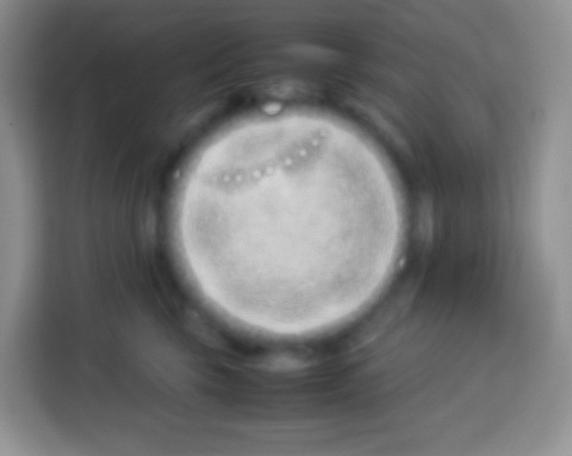 X0000113030569200910081222