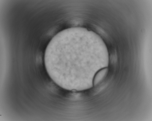 X0000113030570200910081222