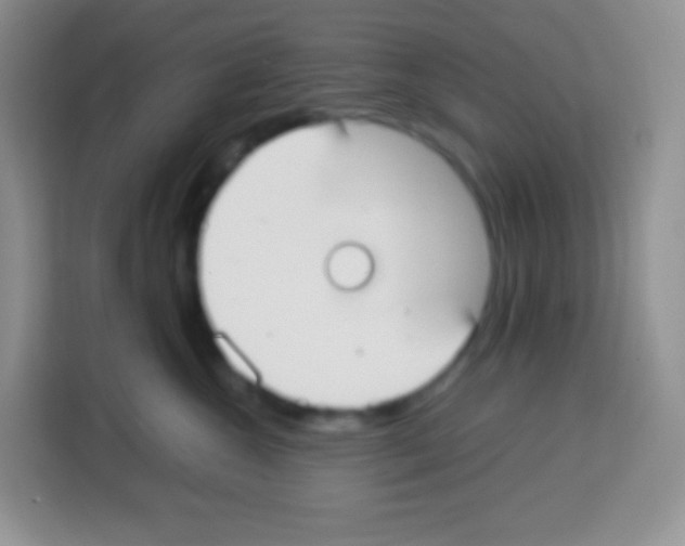 X0000113030572200910081222