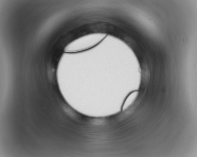 X0000113030574200910081222
