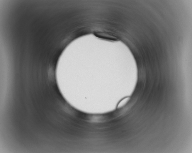 X0000113030575200910081222