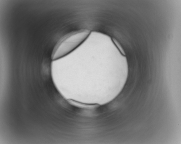 X0000113030576200910081222