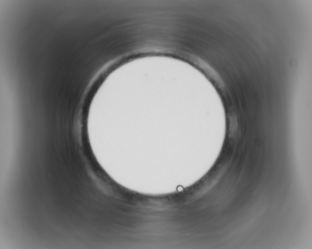 X0000113030580200910081222