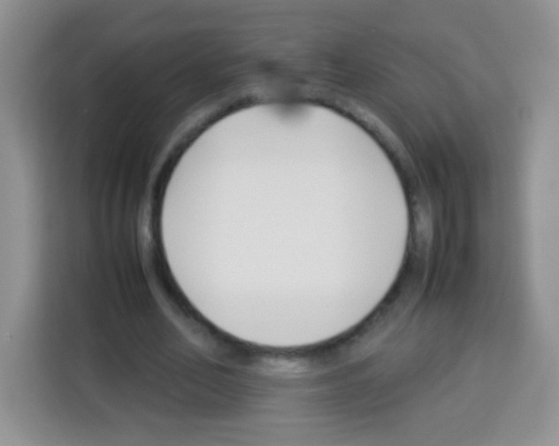 X0000113030582200910081222