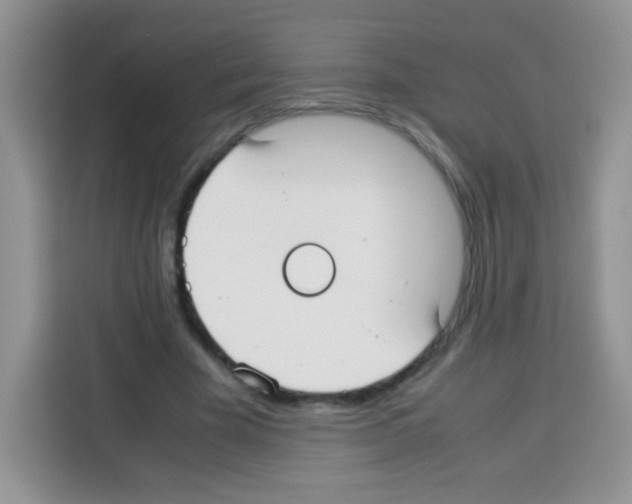 X0000113030585200910081222
