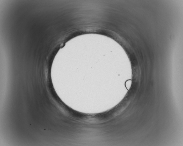 X0000113030589200910081222