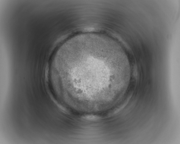 X0000113030590200910081222