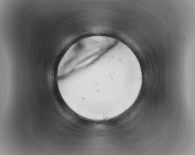 X0000113030592200910081222