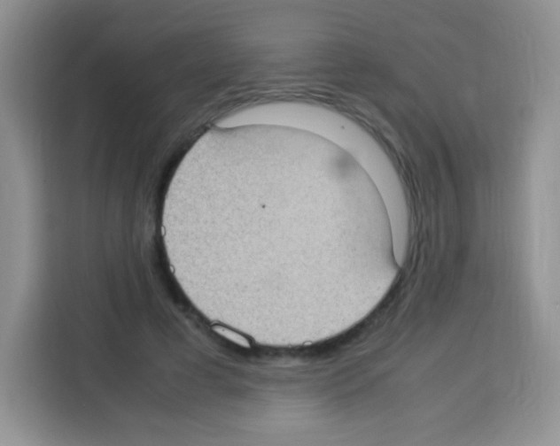 X0000113030593200910081222