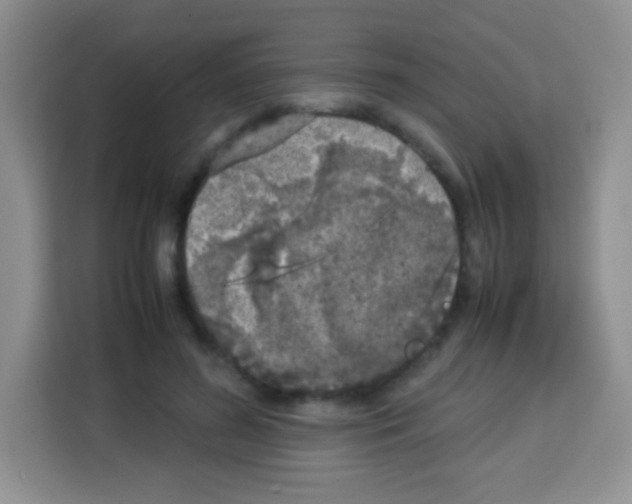 X0000113030596200910081222