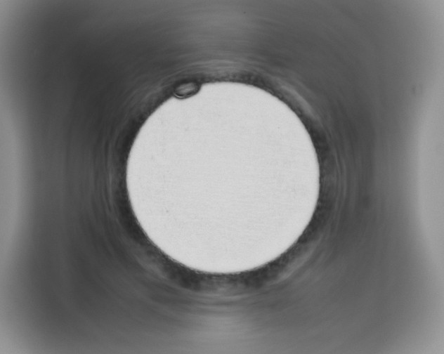 X0000113030597200910081222