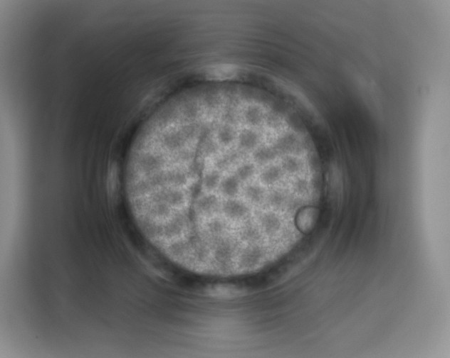 X0000113030598200910081222