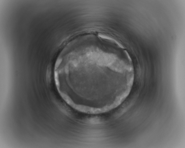 X0000113030600200910081222