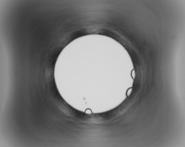 X0000113030601200910081222