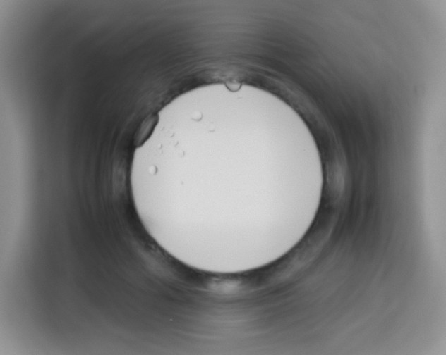 X0000113030602200910081221