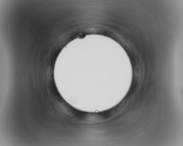 X0000113030605200910081221