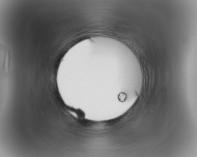 X0000113030609200910081221