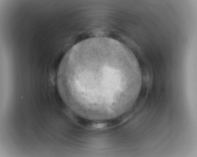 X0000113030610200910081221