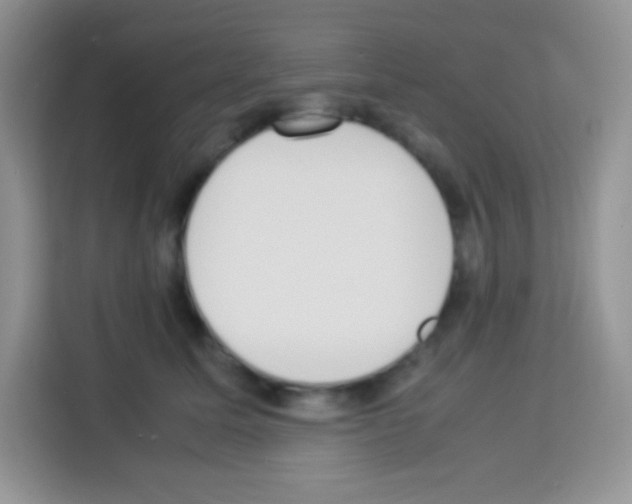 X0000113030611200910081221