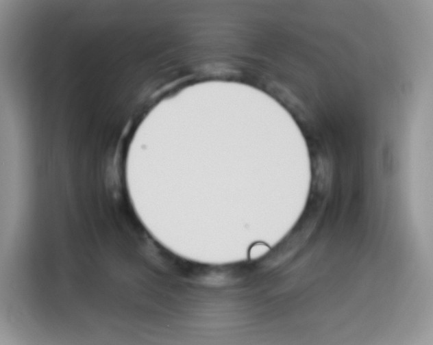 X0000113030612200910081221